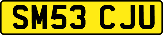 SM53CJU