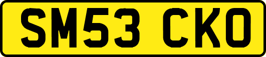 SM53CKO