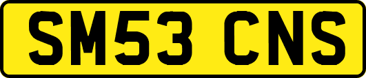 SM53CNS