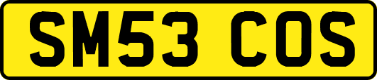 SM53COS
