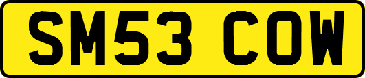 SM53COW