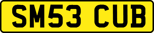 SM53CUB
