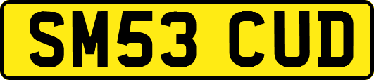 SM53CUD