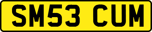 SM53CUM