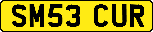 SM53CUR