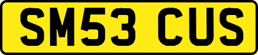 SM53CUS