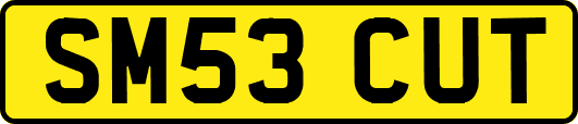 SM53CUT
