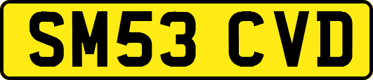 SM53CVD