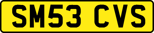 SM53CVS