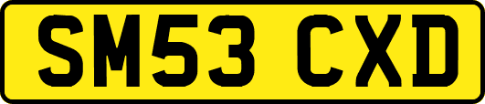 SM53CXD