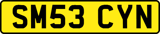 SM53CYN