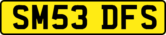 SM53DFS