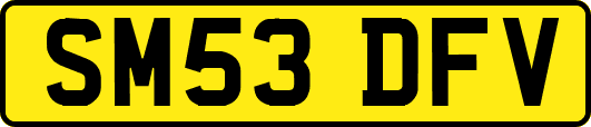 SM53DFV