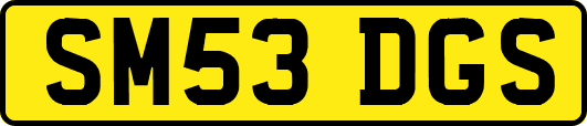 SM53DGS