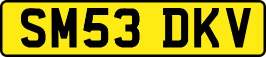 SM53DKV