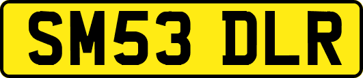 SM53DLR