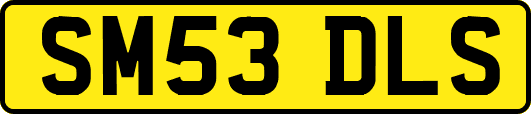 SM53DLS