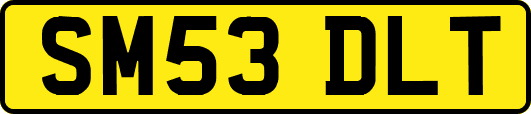 SM53DLT