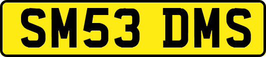SM53DMS