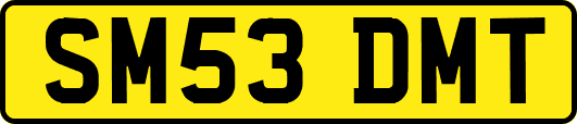 SM53DMT