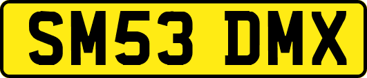 SM53DMX