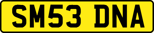 SM53DNA