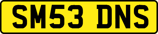 SM53DNS