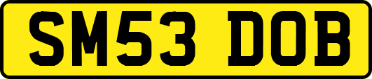 SM53DOB
