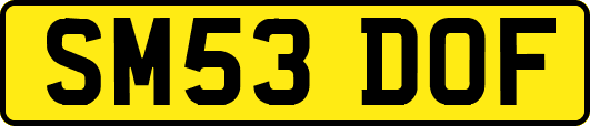 SM53DOF