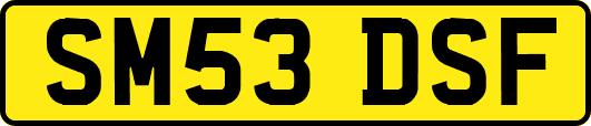 SM53DSF
