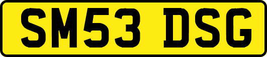 SM53DSG