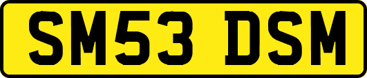 SM53DSM
