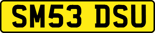 SM53DSU