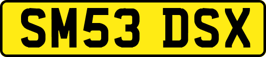 SM53DSX