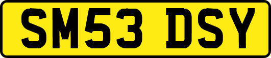 SM53DSY