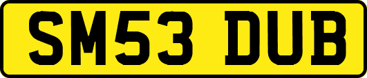 SM53DUB