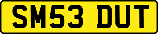 SM53DUT