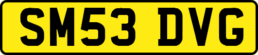 SM53DVG