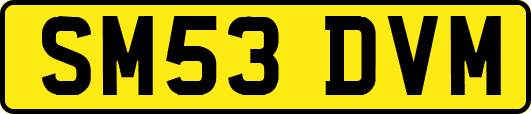 SM53DVM