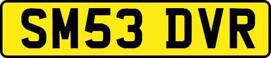 SM53DVR