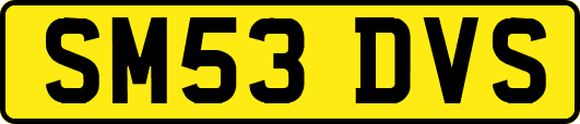 SM53DVS