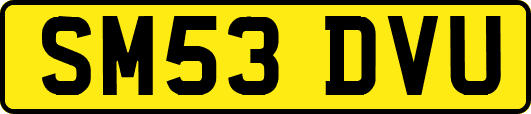 SM53DVU