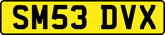 SM53DVX