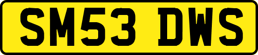 SM53DWS