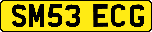 SM53ECG