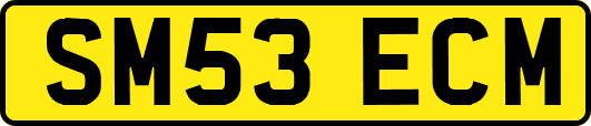 SM53ECM