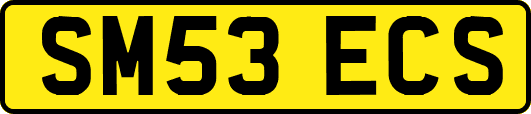 SM53ECS
