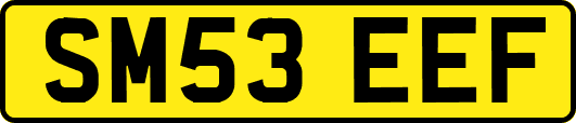 SM53EEF