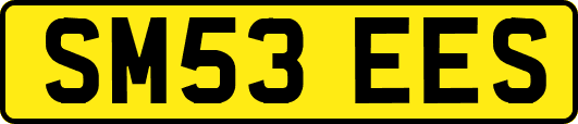 SM53EES
