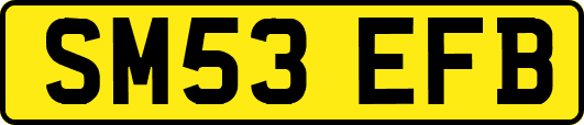 SM53EFB